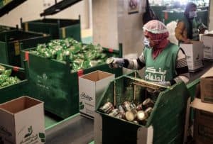 نمو اقتصادي في مصر بعد أربعة أعوام على تعويم العملة