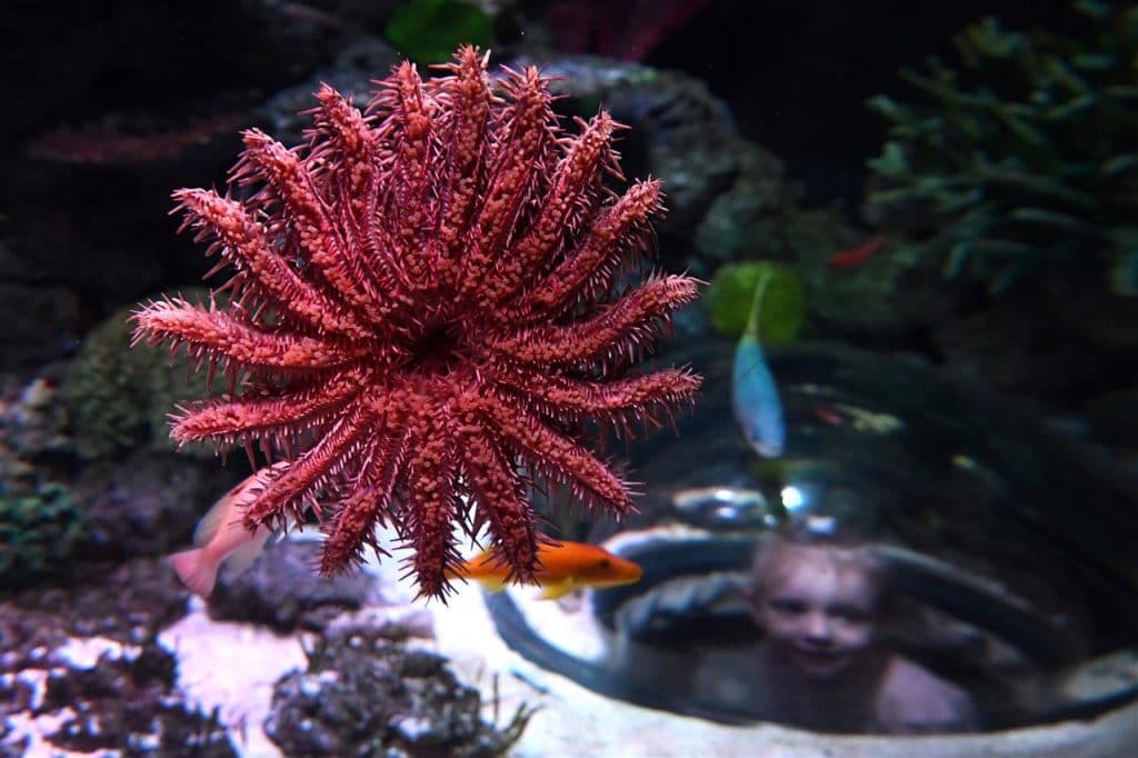homeawstideapublic_htmlwp-contentuploads20201113785918-01-08.jpg