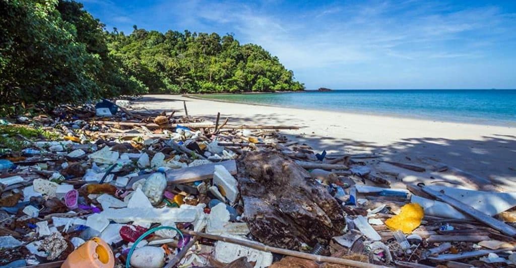 SPC-ocean-debris-72dpi