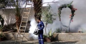 أمانة جدة تستهدف 259 ألف وحدة بأعمال المكافحة المنزلية خلال 3 أشهر