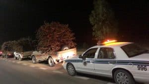 ضبط عددٍ من الشاحنات والمركبات المحملة بالحطب المحلي