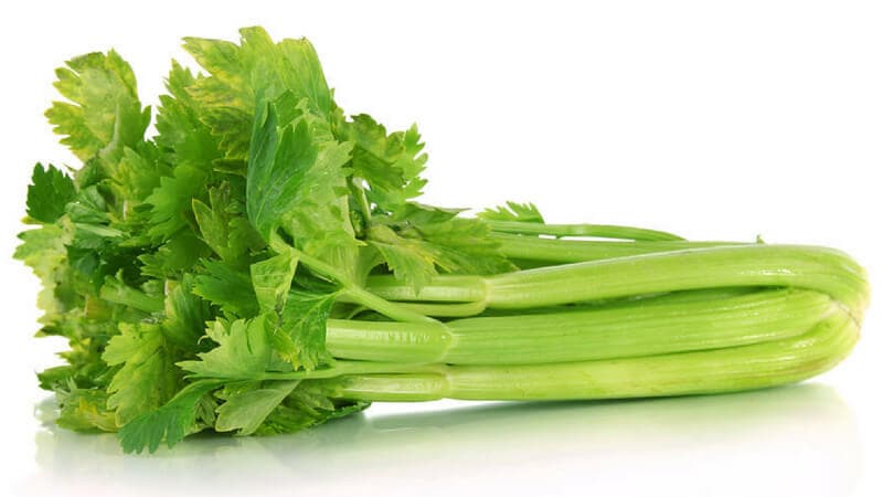 7-benefits-using-celery