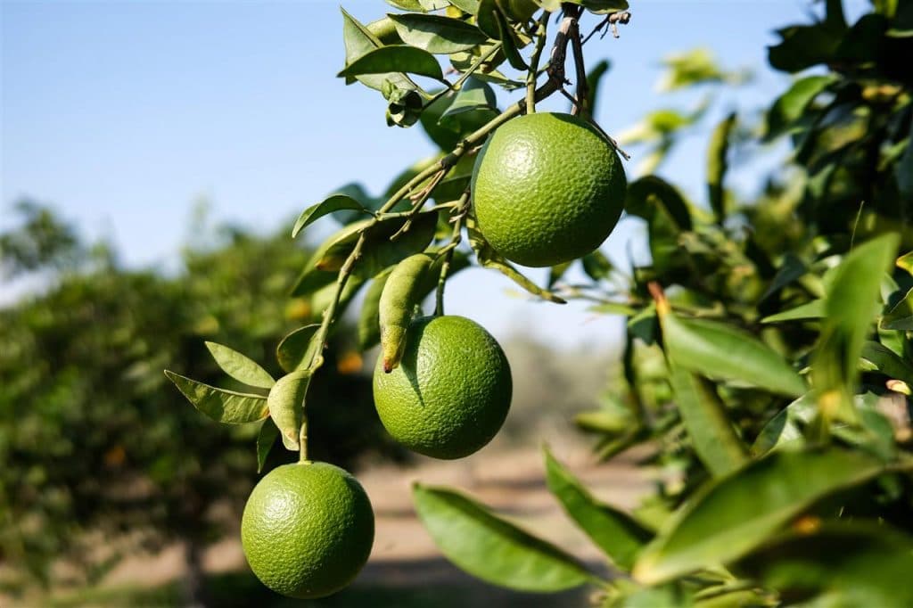 homeawstideapublic_htmlwp-contentuploads20201129868542-01-08.jpg
