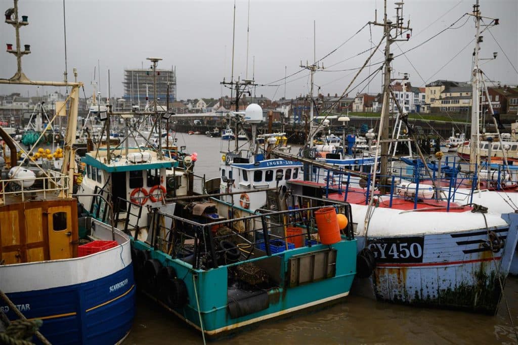 homeawstideapublic_htmlwp-contentuploads20201211946342-01-08.jpg