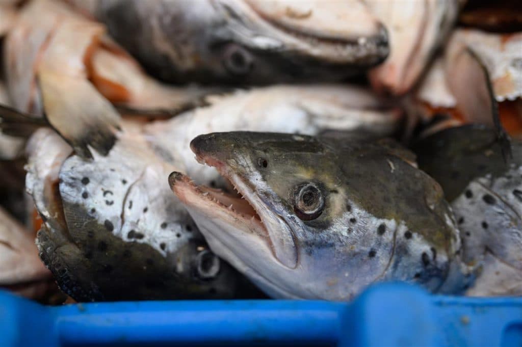 homeawstideapublic_htmlwp-contentuploads20201211946347-01-08.jpg