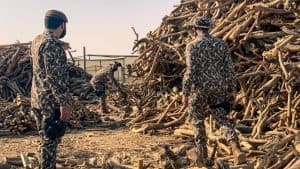 “البيئة” تصادر 135 طنًا من الحطب المحلي في الرياض