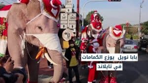الكريسماس في كورونا