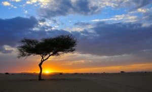 نجران.. بوابة استكشاف الربع الخالي