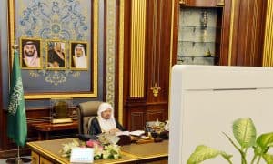 الشورى يدعو هيئة الترفيه إلى قياس رضا المستفيدين من فعالياتها