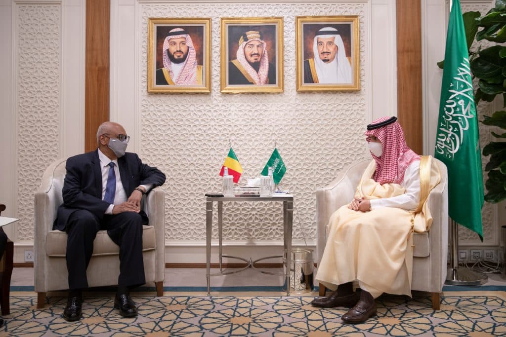 وزير الخارجية يبحث مع نظيره المالي تعزيز العلاقات بين البلدين