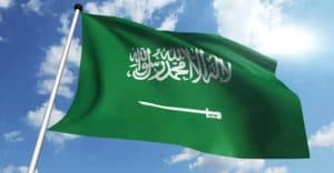 المملكة تدعو لتكثيف الجهود الدولية لحلّ أزمة الروهينغا في ميانمار