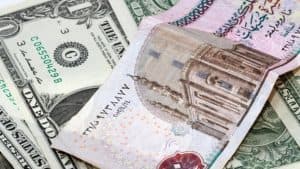 الدولار الأمريكي يخسر 6 قروش أمام الجنيه المصري منذ بداية العام