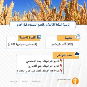 المؤسسة العامة للحبوب تنتهي من ترسية الدفعة الثالثة من القمح المستورد هذا العام