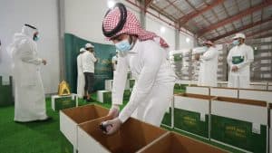 نجم لخدمات التأمين تعزز مبادراتها الاجتماعية تحت مظلة برنامجها “نجم الخير”