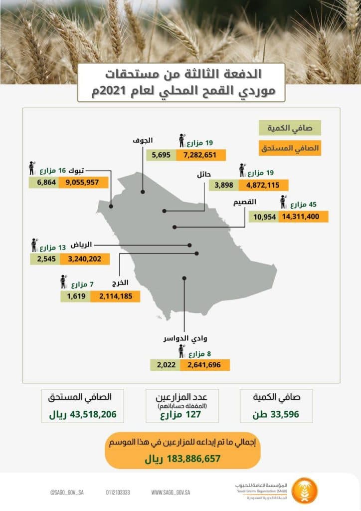صرف مستحقات الدفعة الثالثة لمزارعي القمح المحلي لهذا الموسم