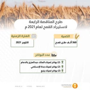 المؤسسة العامة للحبوب تطرح مناقصة لاستيراد 360 ألف طن قمح
