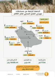 المؤسسة العامة للحبوب تصرف مستحقات الدفعة الرابعة لمزارعي القمح المحلي
