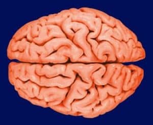 خطوة قد تحيل الزهايمر إلى الماضي