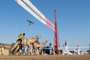 “سكر” تختتم ماراثون مهرجان ولي العهد للهجن بأفضل توقيت