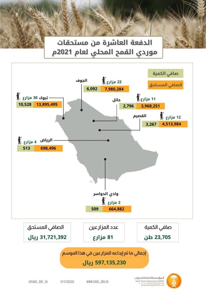 المؤسسة العامة للحبوب تصرف مستحقات الدفعة العاشرة لمزارعي القمح المحلي