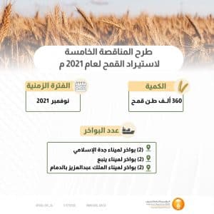 المؤسسة العامة للحبوب تطرح مناقصة لاستيراد 360 ألف طن قمح