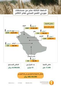 المؤسسة العامة للحبوب تصرف مستحقات الدفعة الثالثة عشرة لمزارعي القمح المحلي