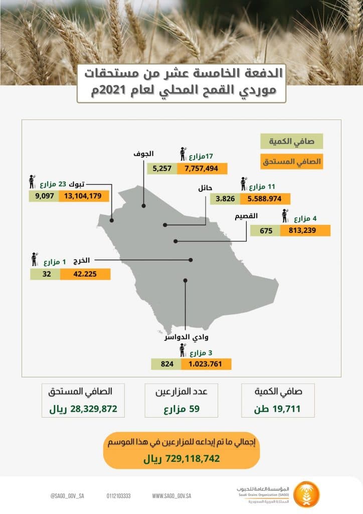 المؤسسة العامة للحبوب تصرف مستحقات الدفعة الخامسة عشرة لمزارعي القمح المحلي