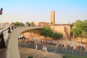 المملكة تستعد لاحتضان أكبر مهرجانات الإبل في العالم