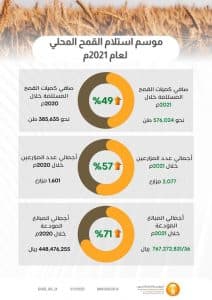 المؤسسة العامة للحبوب تستكمل صرف مستحقات مزارعي القمح المحلي للموسم الزراعي الحالي (1442/1443هـ)