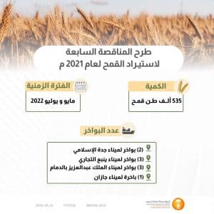 المؤسسة العامة للحبوب تطرح مناقصة لاستيراد 535 ألف طن قمح