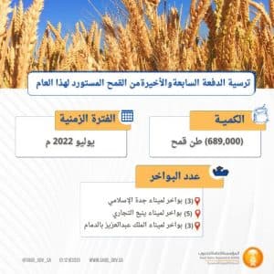 المؤسسة العامة للحبوب تنتهي من ترسية الدفعة السابعة والأخيرة من القمح المستورد هذا العام