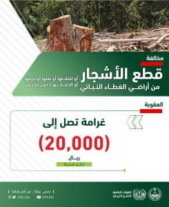 الأمن البيئي: عقوبة قطع الأشجار أو الاتجار بها دون ترخيص غرامة تصل إلى (20) ألف ريال لكل شجرة