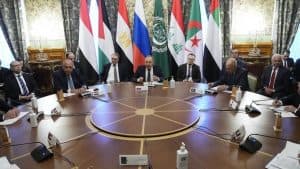 شكري: الدول العربية عرضت الوساطة بين روسيا وأوكرانيا