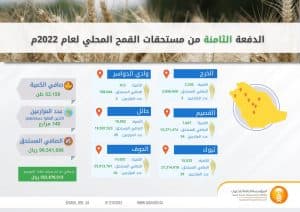 المؤسسة العامة للحبوب تصرف مستحقات الدفعة الثامنة لمزارعي القمح المحلي