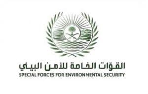 “الأمن البيئي”: انقاذ (4) مواطنين علقت مركبتهم في الرمال