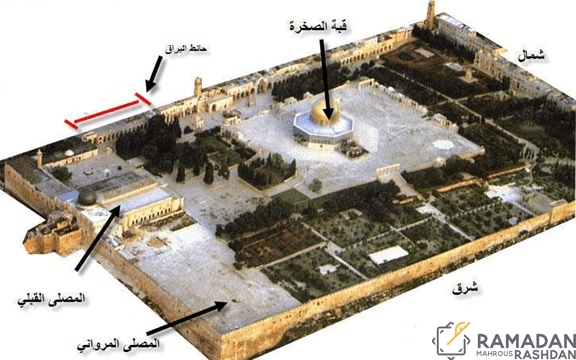 image (1)