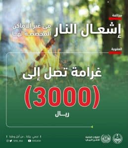 “الأمن البيئي” تضبط مخالفين في منطقة عسير
