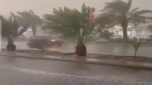 “الأرصاد” يُنبِّه منطقة المدينة المنورة لأتربة مثارة وأمطار رعدية