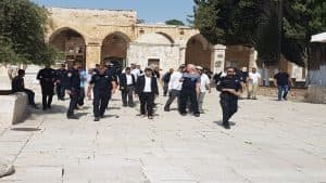 فلسطين المحتلة: إصابات واعتقالات.. واقتحام المسجد الأقصى