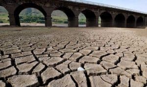 إعلان حالة الجفاف في مناطق من جنوب غرب بريطانيا