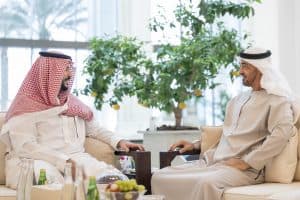 رئيس دولة الإمارات يستقبل نائب وزير الدفاع