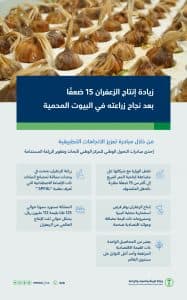 “البيئة” تُعلن عن مضاعفة إنتاج الزعفران