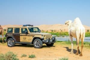 “الأمن البيئي” يضبط (13) مخالفًا لنظام البيئة لارتكابهم مخالفات رعي