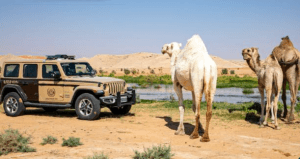 “الأمن البيئي” يضبط (11) مخالفًا لنظام البيئة لارتكابهم مخالفات رعي