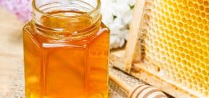 اختتام فعاليات مهرجان العسل بحائل أمس
