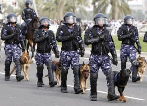 4500 جندي باكستاني يساهمون في تأمين كأس العالم بقطر