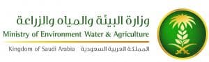 “البيئة” تحصل على جائزة التميُّز العالمية في إدارة المشاريع