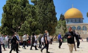 الاحتلال الإسرائيلي يعتقل 13 فلسطينيًّا.. واقتحام الأقصى