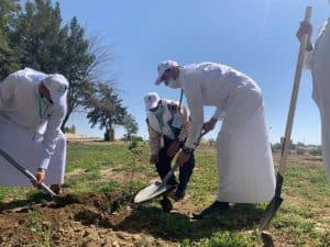 أمانة جازان تغرس 500 شتلة بمحافظة جزر فرسان