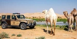 الأمن البيئي يضبط 6 مخالفين لارتكابهم مخالفات رعي